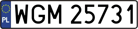 WGM25731