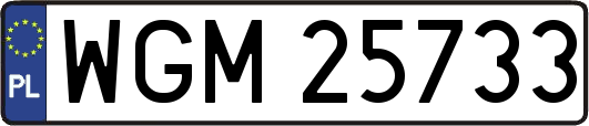 WGM25733