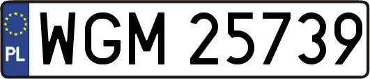 WGM25739