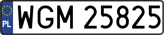 WGM25825