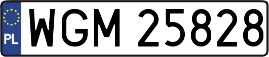 WGM25828