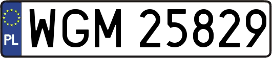 WGM25829