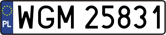 WGM25831
