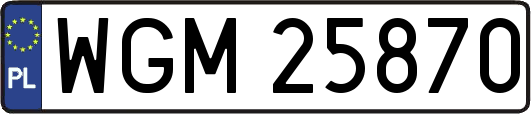 WGM25870
