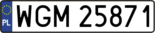 WGM25871