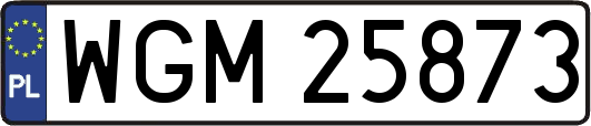 WGM25873