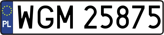 WGM25875
