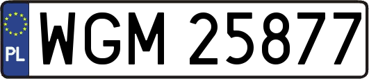 WGM25877
