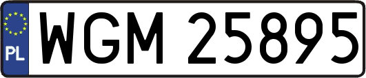 WGM25895