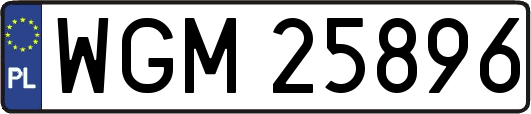 WGM25896