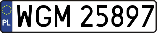 WGM25897