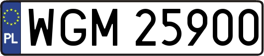 WGM25900