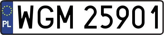 WGM25901