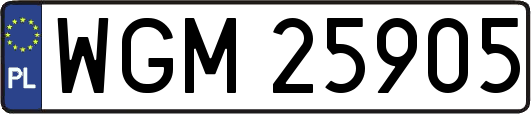 WGM25905