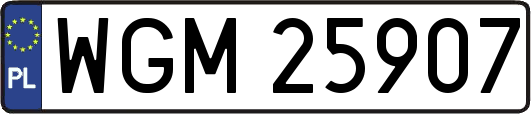 WGM25907