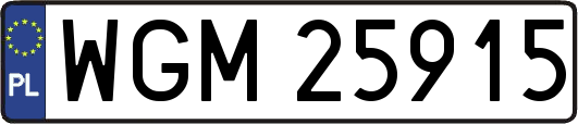 WGM25915