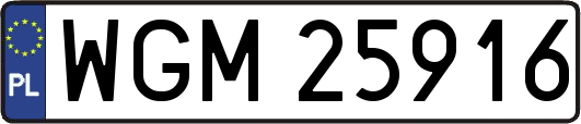 WGM25916