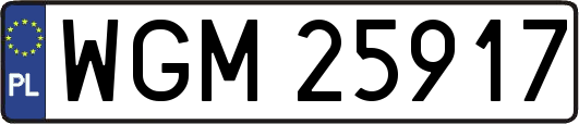 WGM25917
