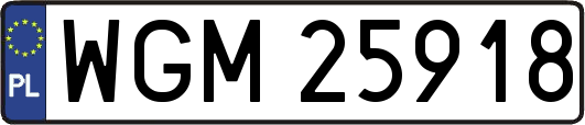 WGM25918