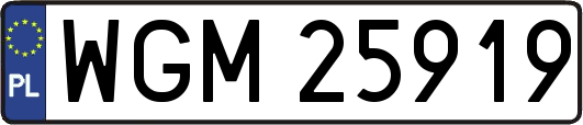 WGM25919