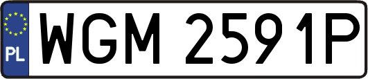WGM2591P