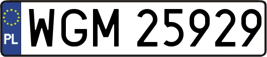 WGM25929