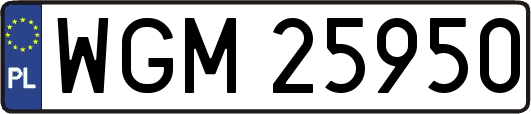 WGM25950