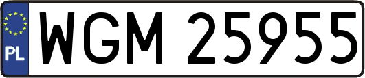 WGM25955