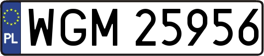WGM25956