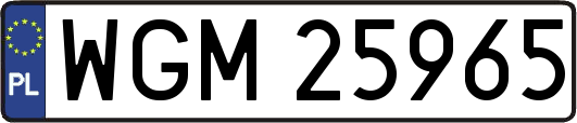 WGM25965