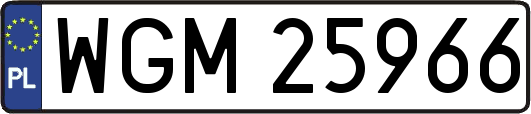 WGM25966