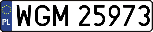 WGM25973
