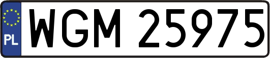 WGM25975