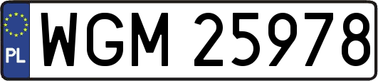 WGM25978
