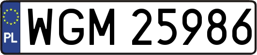 WGM25986