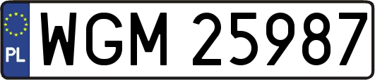 WGM25987