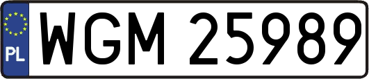 WGM25989