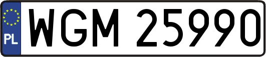 WGM25990