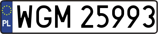 WGM25993