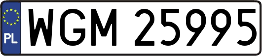 WGM25995