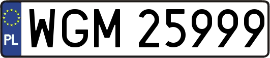 WGM25999