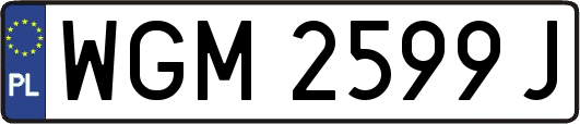 WGM2599J
