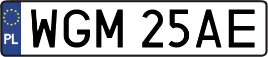 WGM25AE