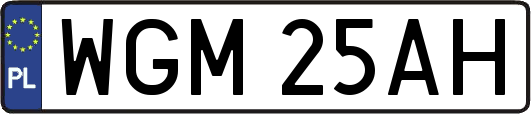 WGM25AH