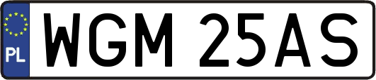 WGM25AS