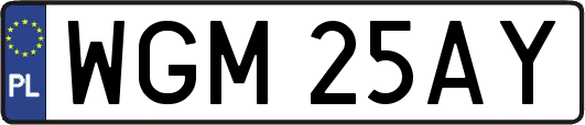 WGM25AY