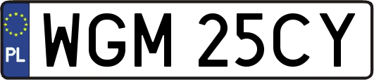 WGM25CY