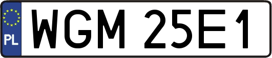 WGM25E1