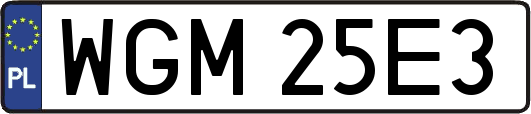 WGM25E3
