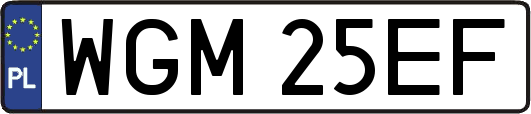 WGM25EF